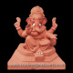 Green Ganesha Model 5